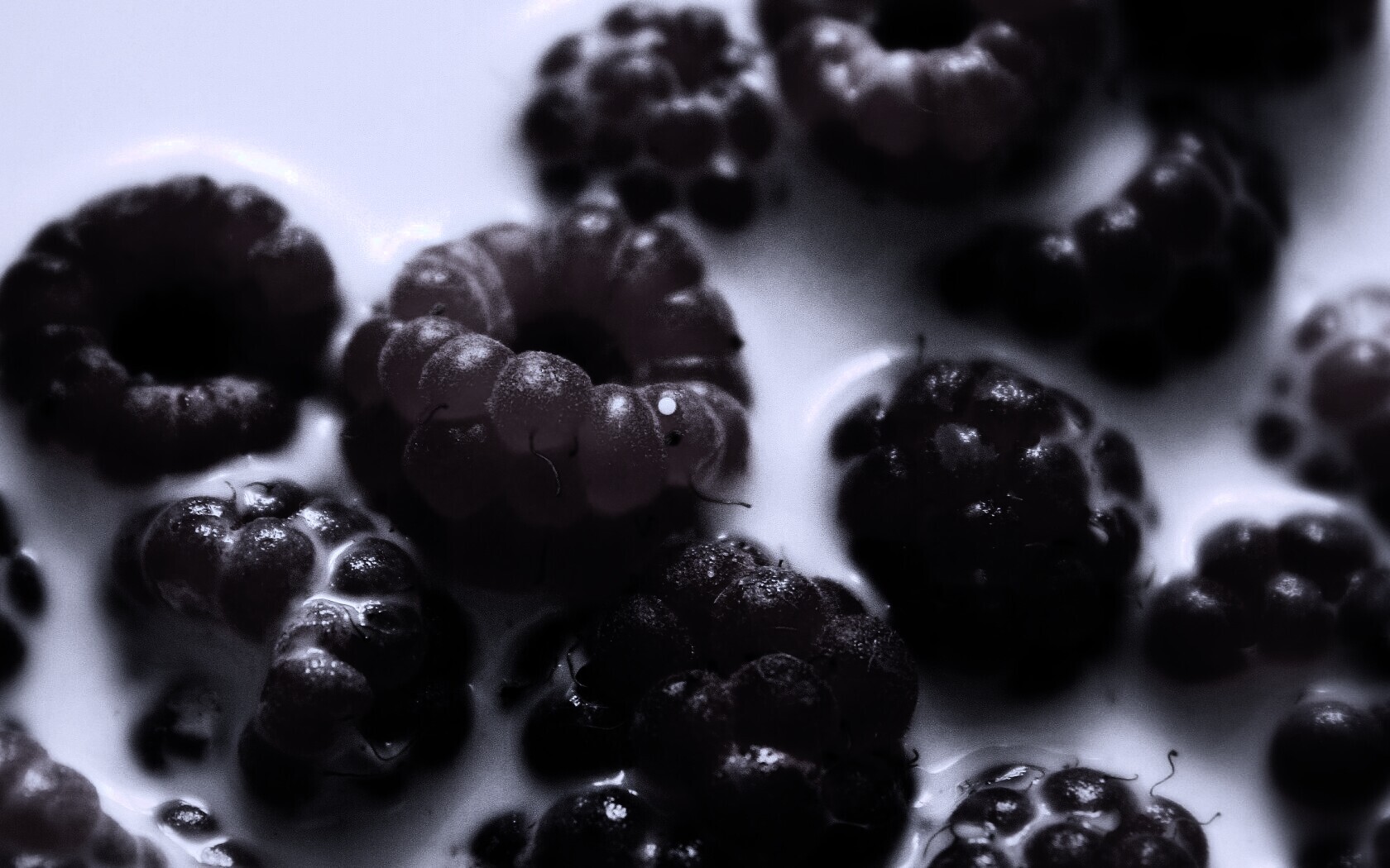 Малина в молоке обои