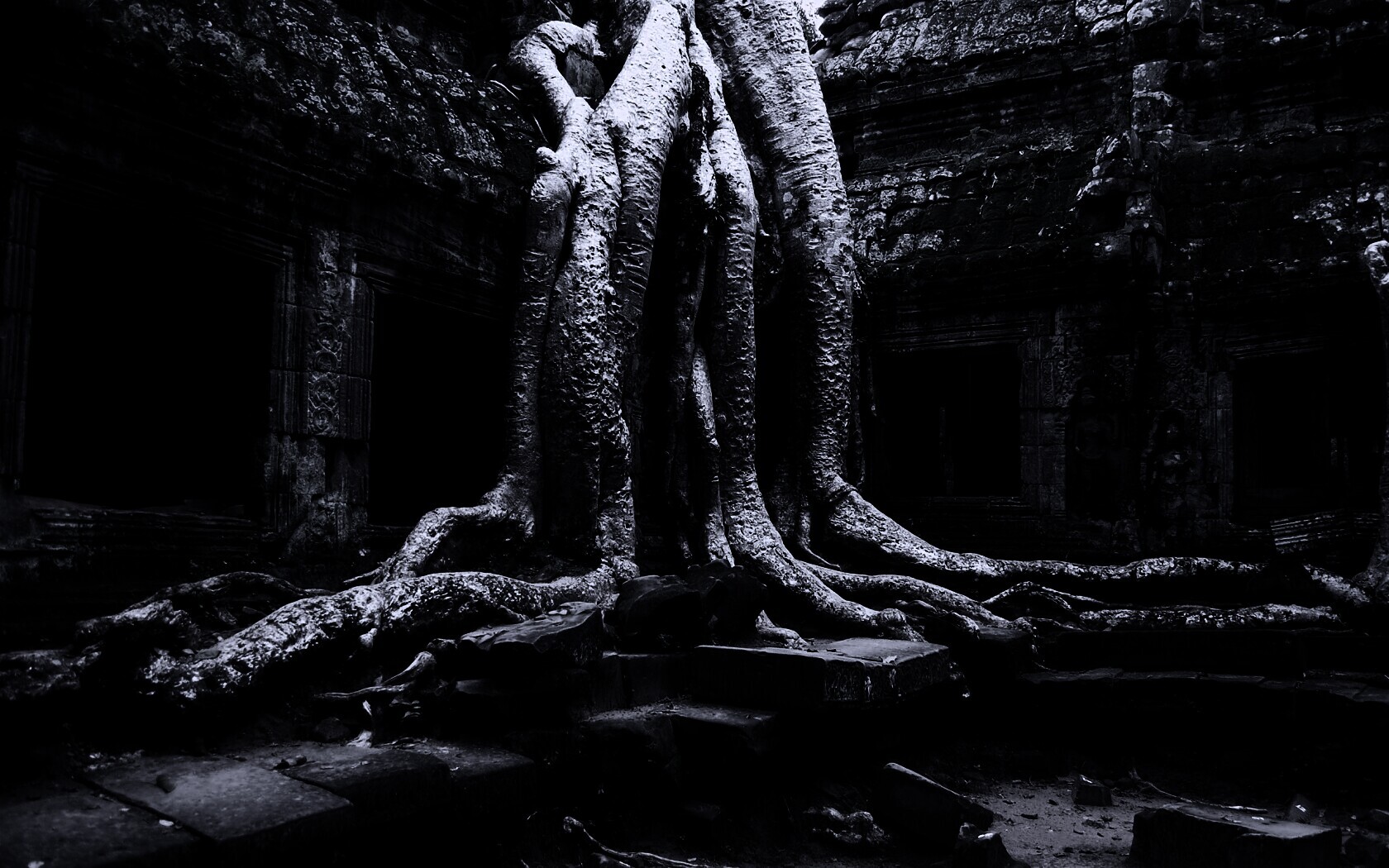 Мощные корни обои