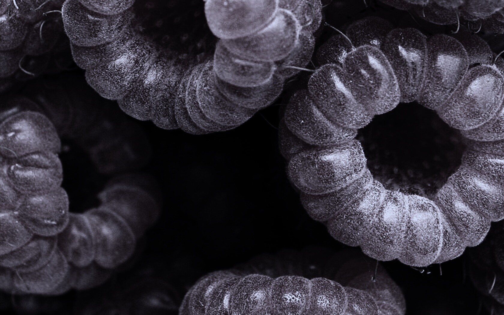 Малина обои