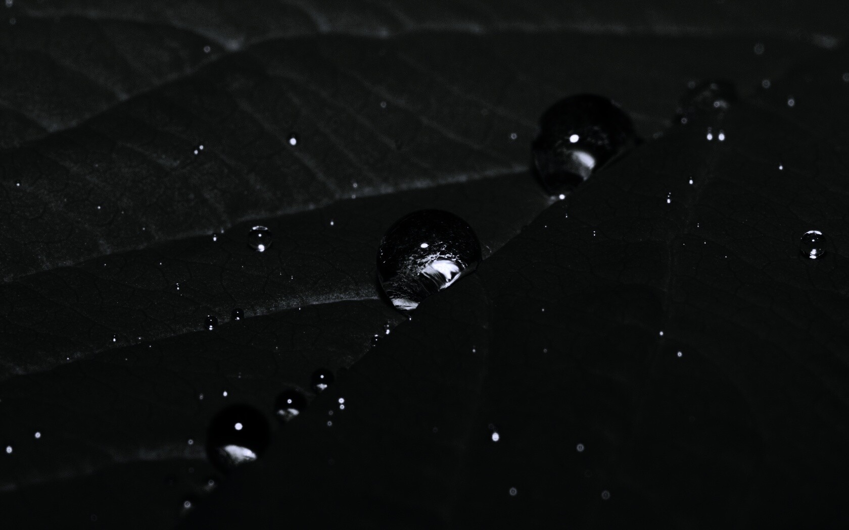 Капли на листе обои