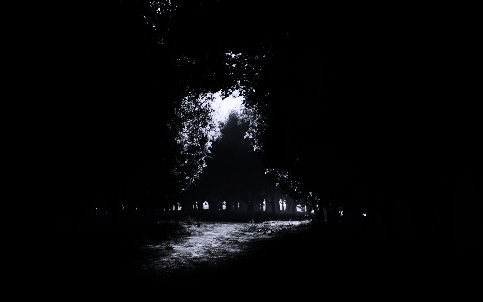 Сумерки в волшебном лесу обои