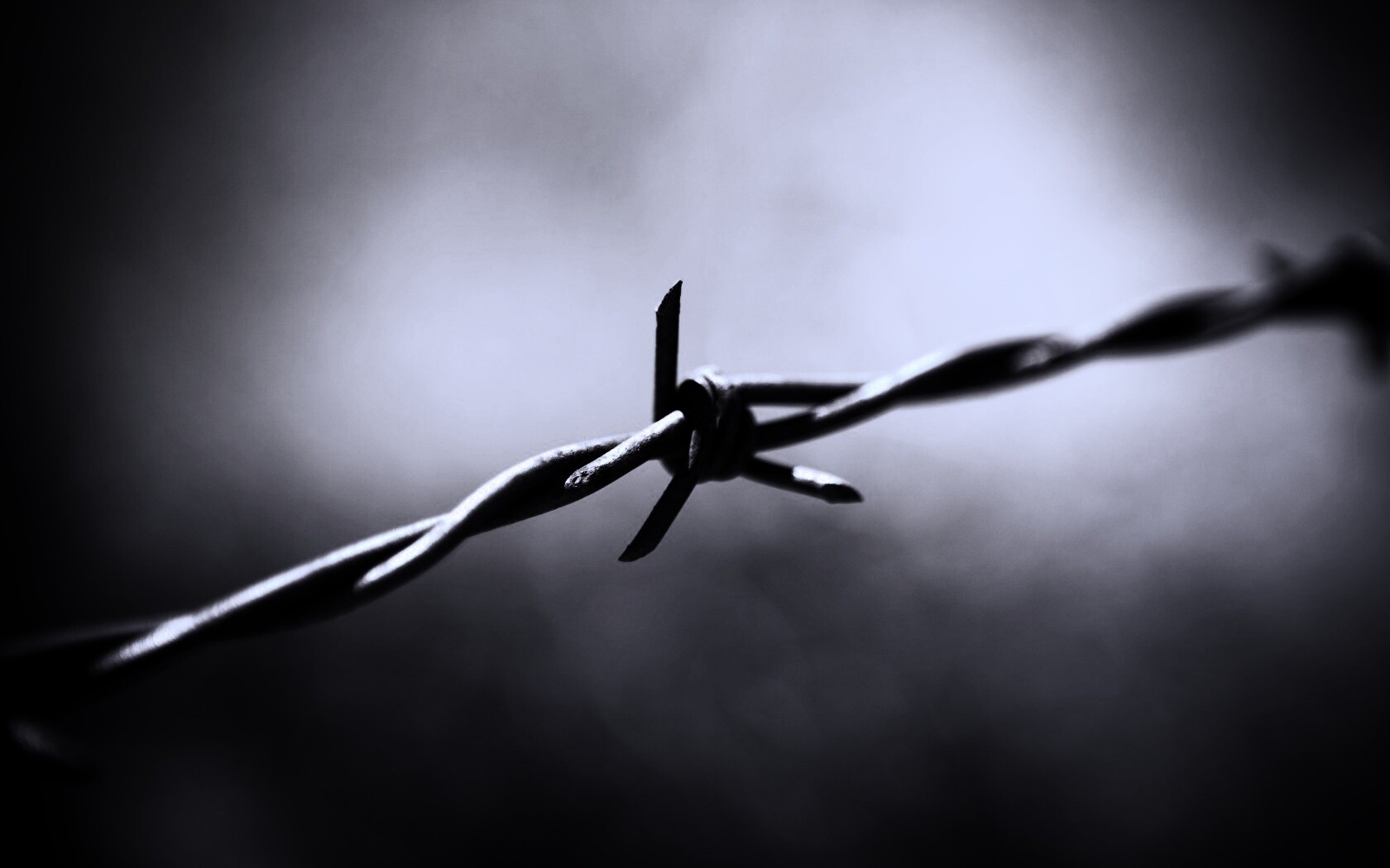 Фото колючей проволоки обои