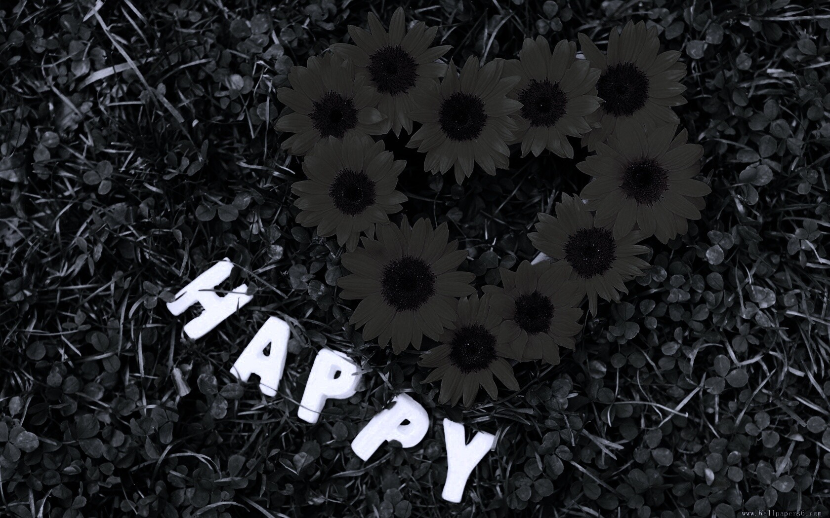 Радость обои