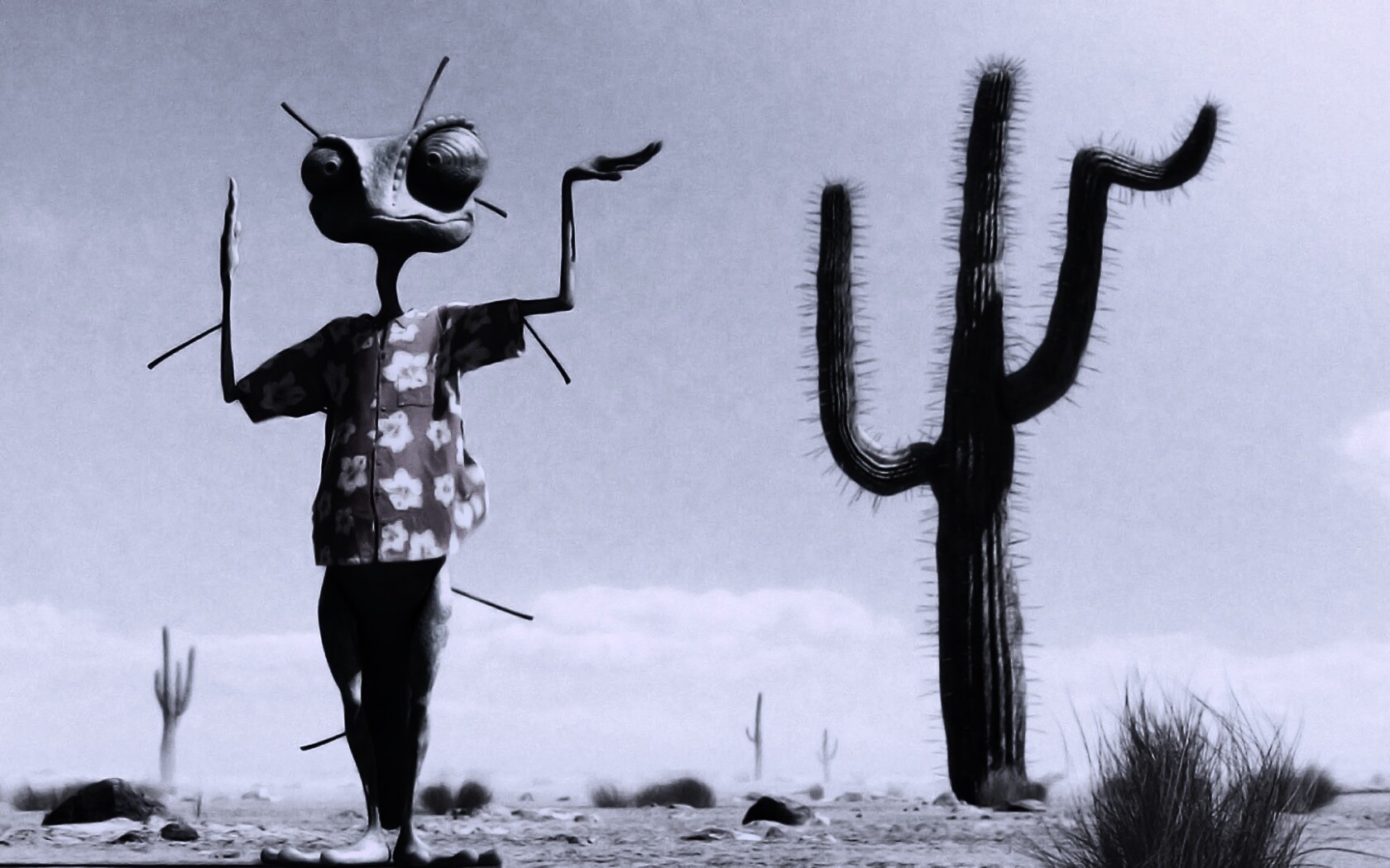 Ранго и кактус обои