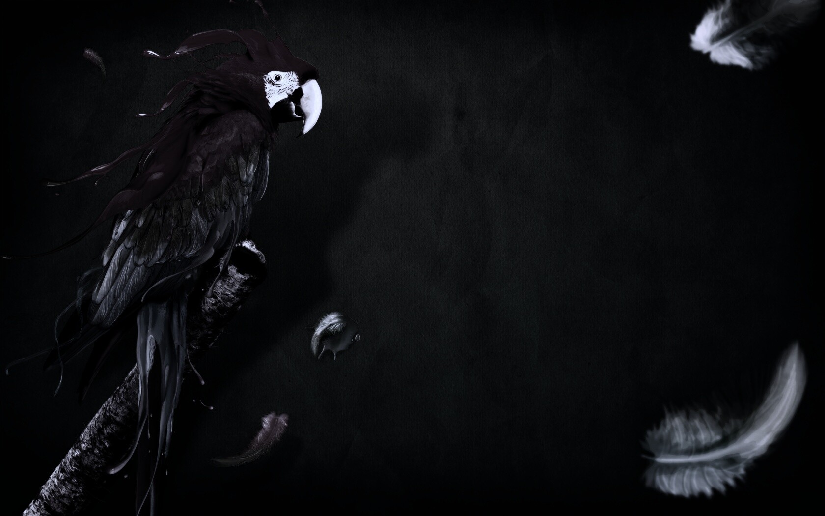 Попугай на ветке обои