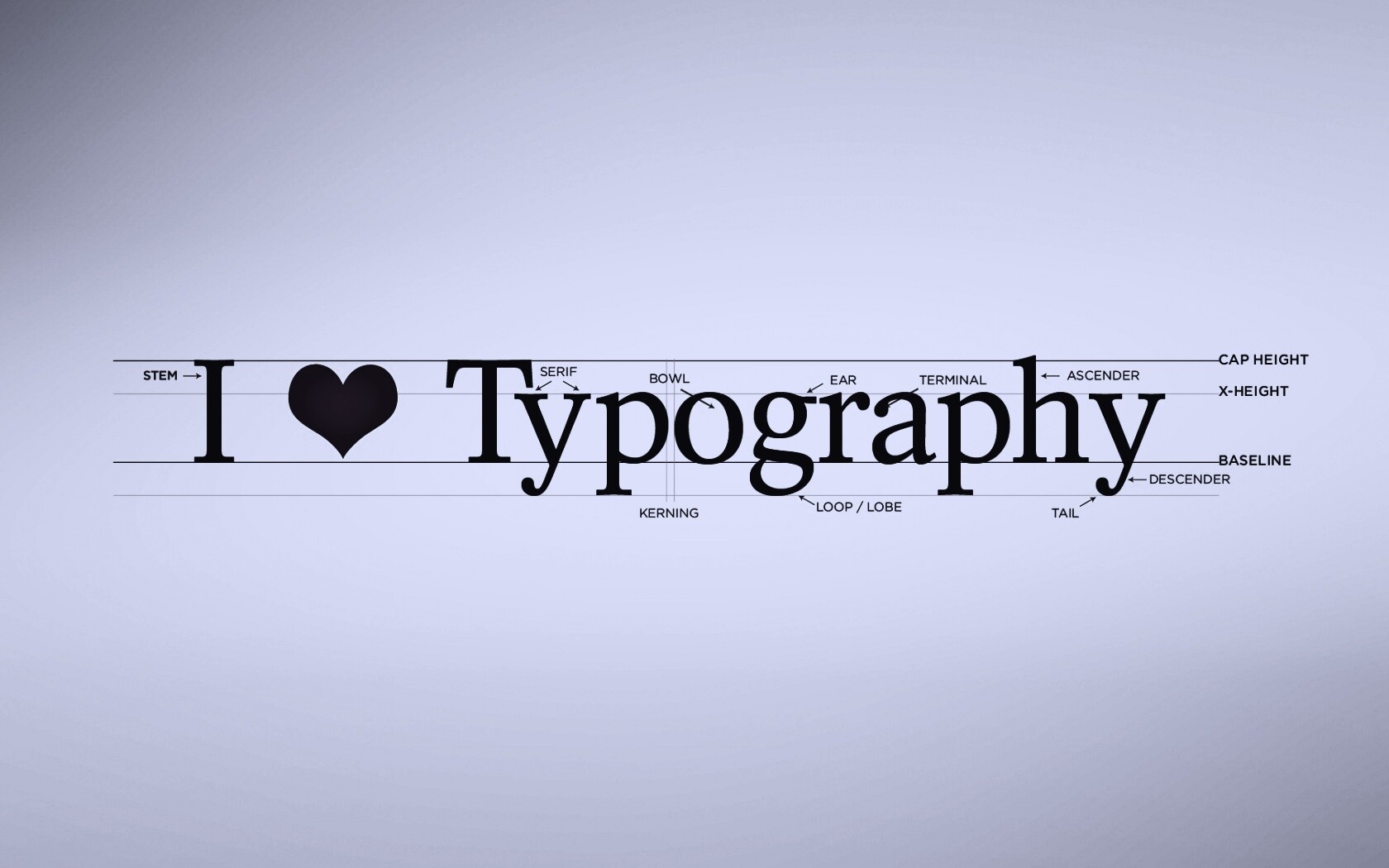 I love typography обои