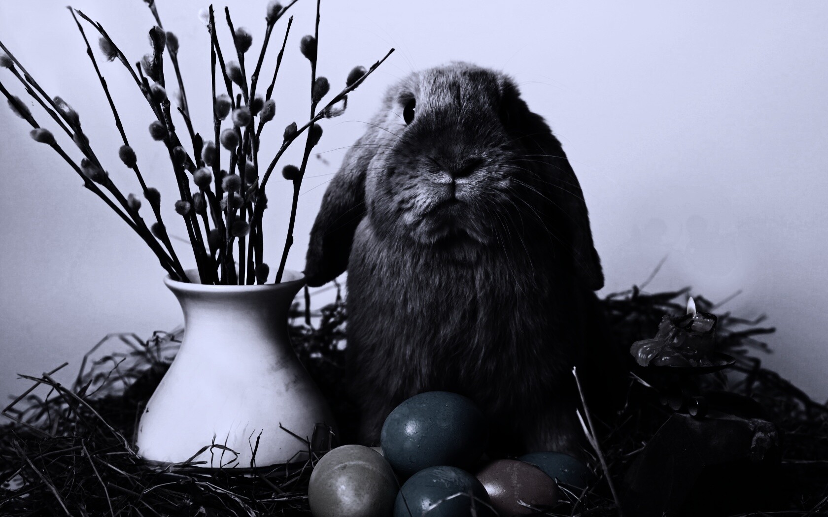 Пасхальный кролик обои