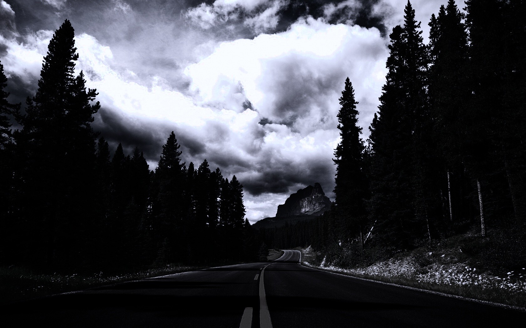 Красивая лесная дорога обои