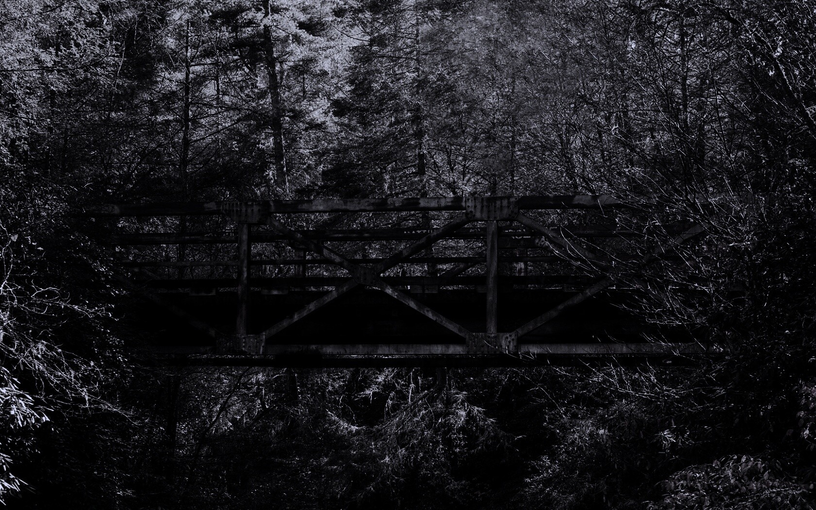 Металлический мост в лесной глуши обои