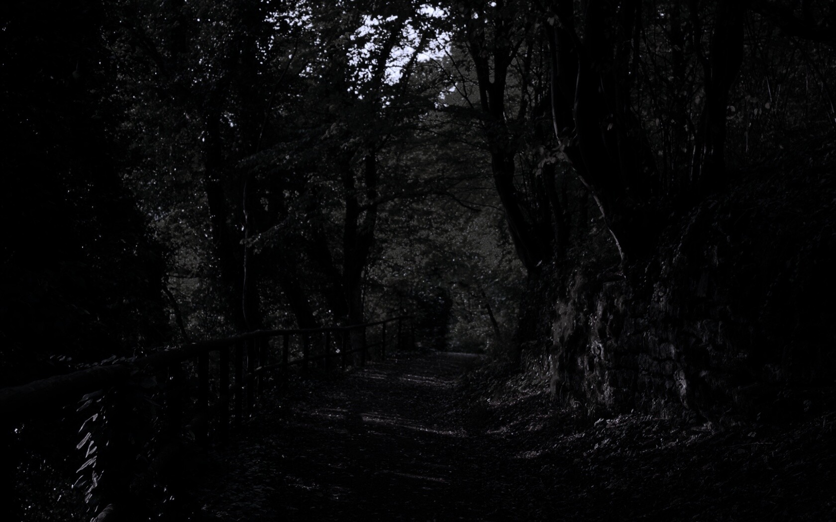 Лесная дорожка обои