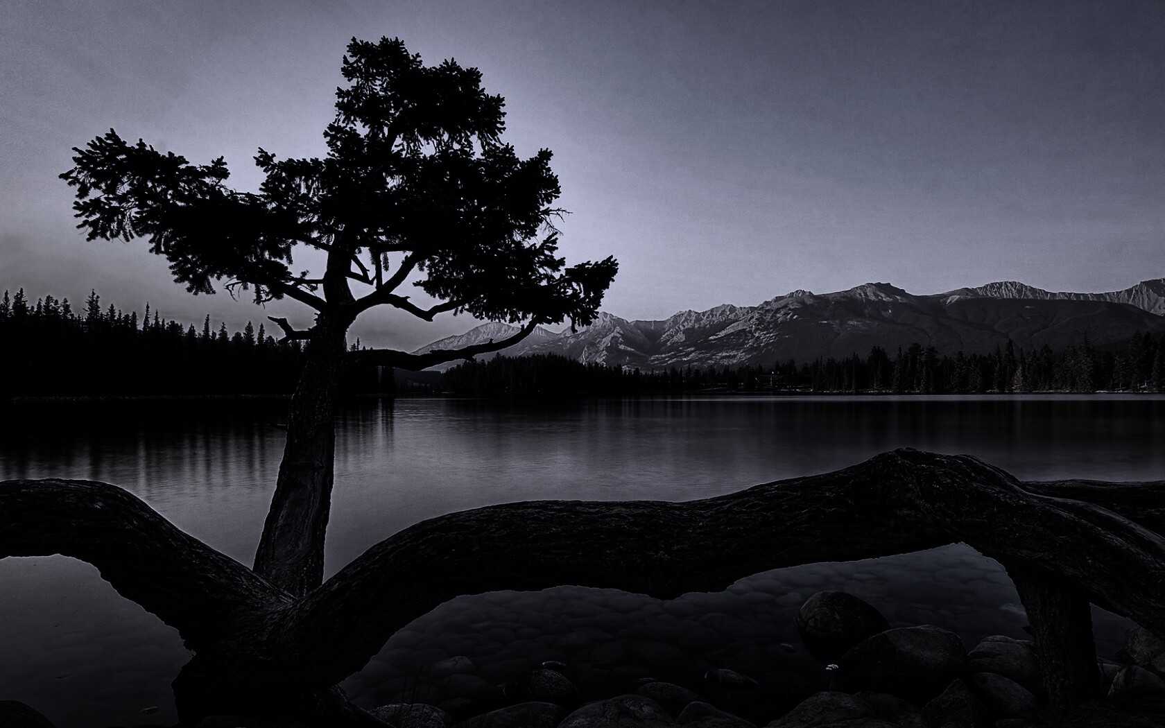 Дерево у горного озера обои