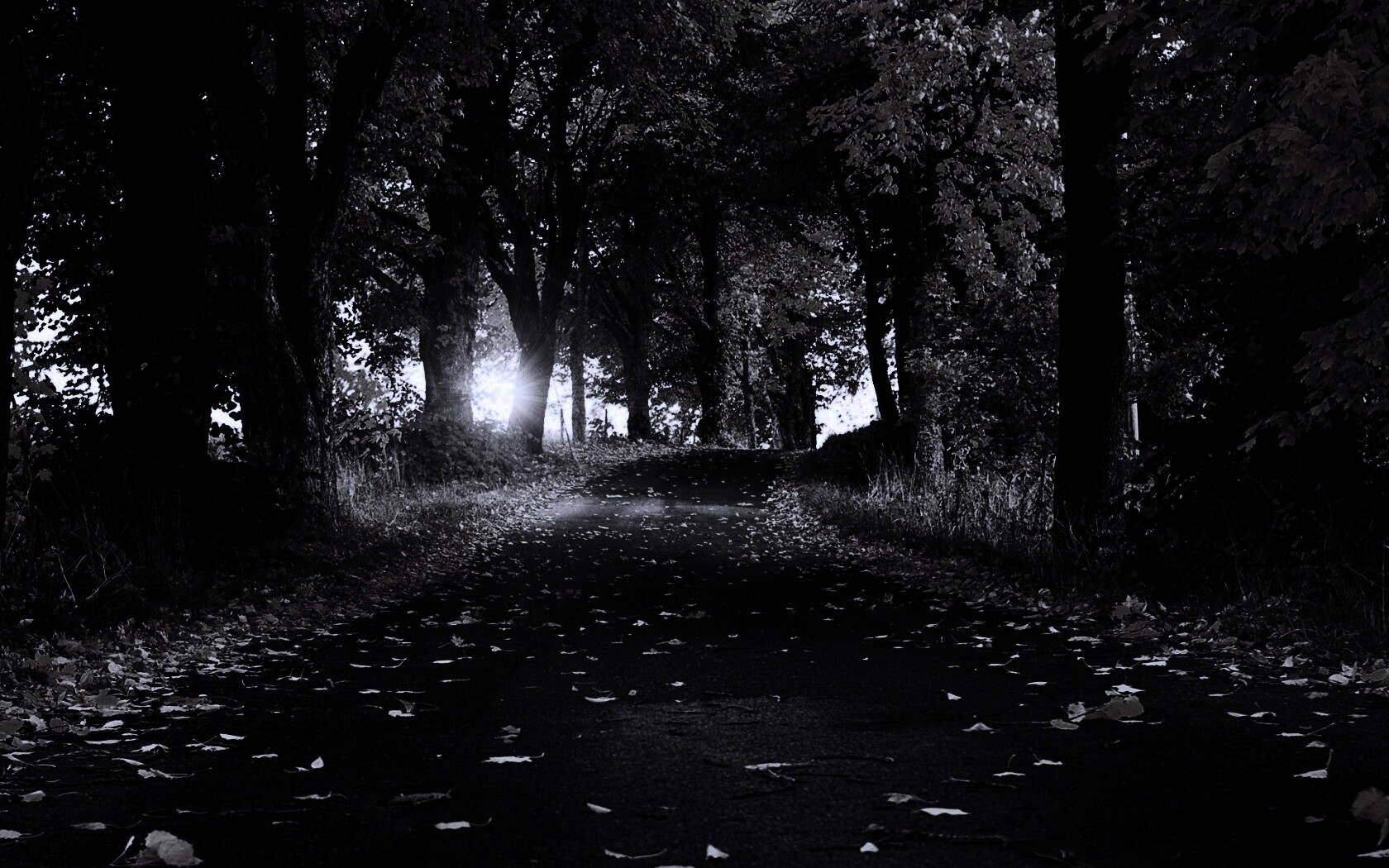 Дорога в осеннем парке обои