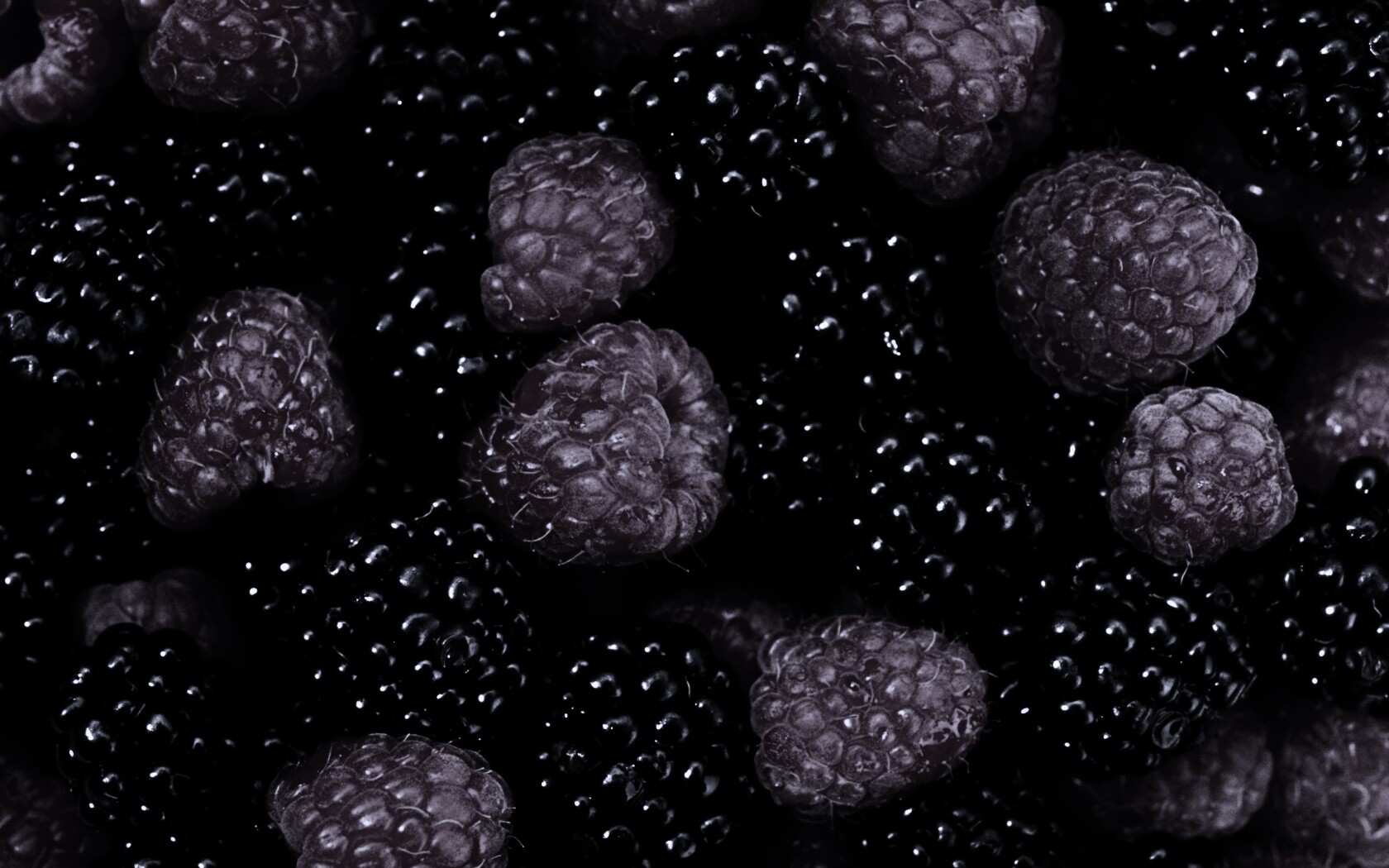 Малина и ежевика обои