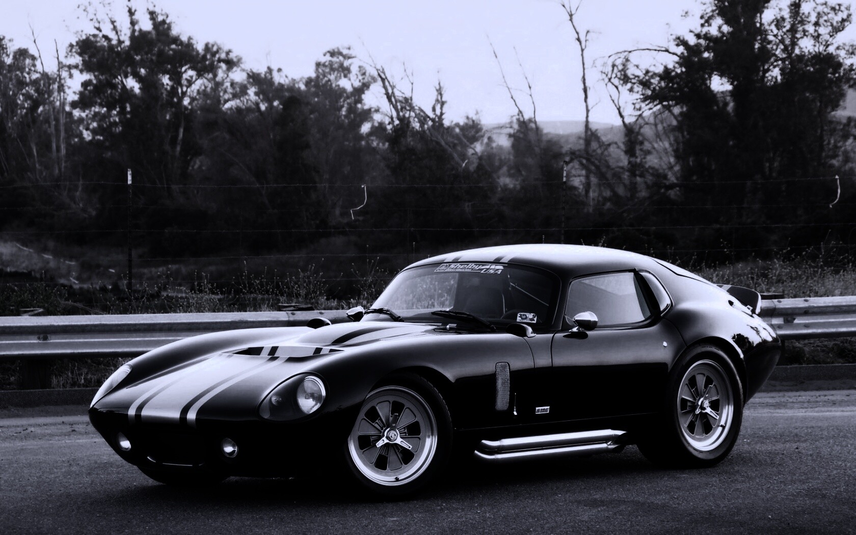 Shelby Daytona обои