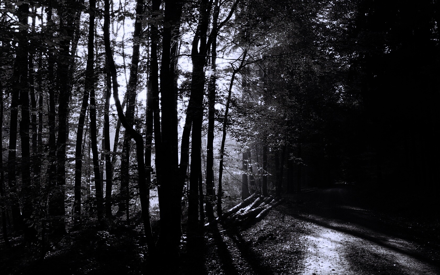 Дорога вдоль просеки в осеннем лесу обои