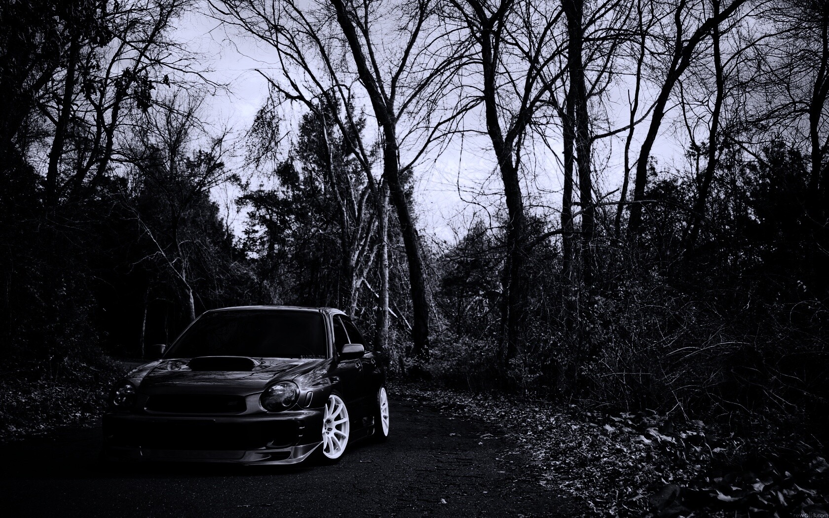 Субару Импреза на лесной дороге обои