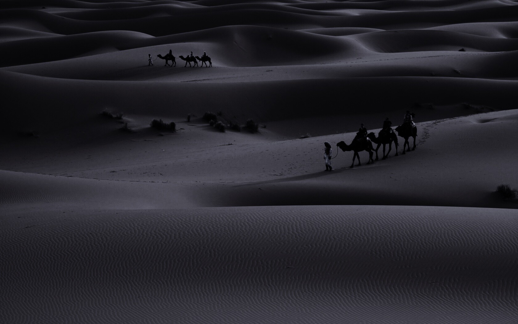 Караваны пустыни обои
