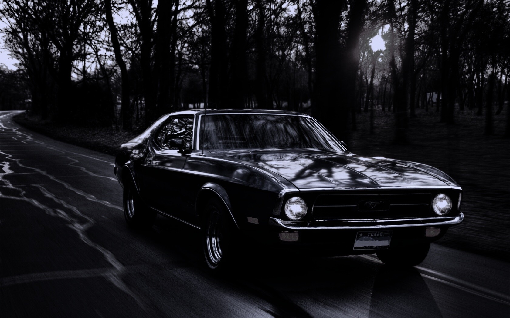 Мустанг обои