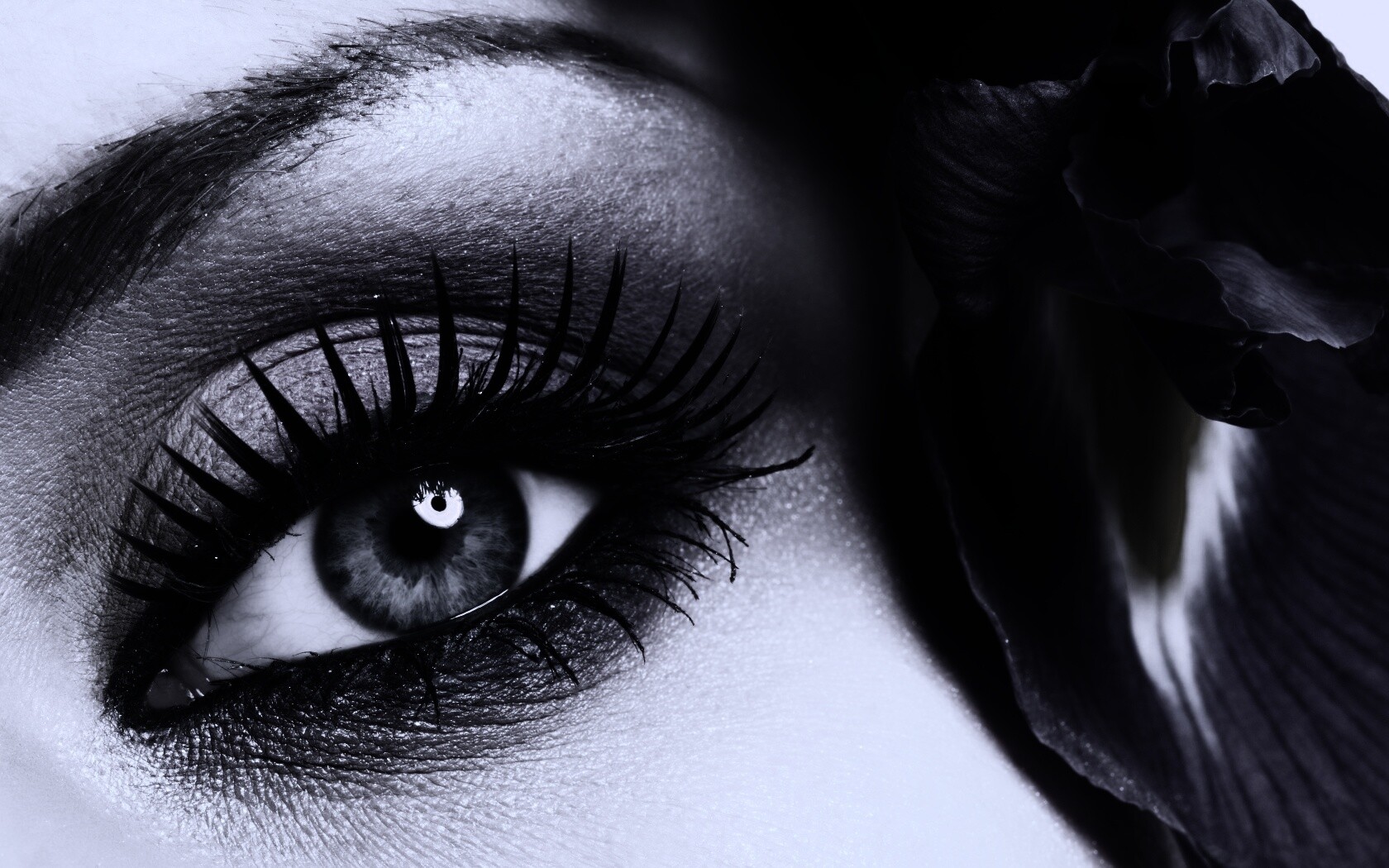 Макияж и цветок обои