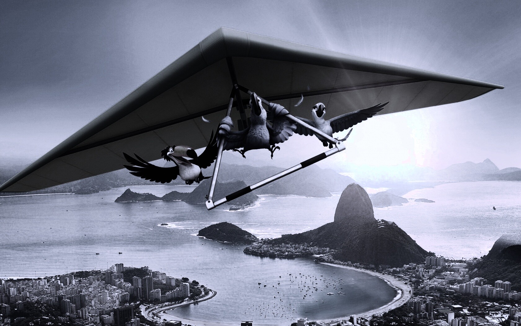 Герои мультфильма Рио обои