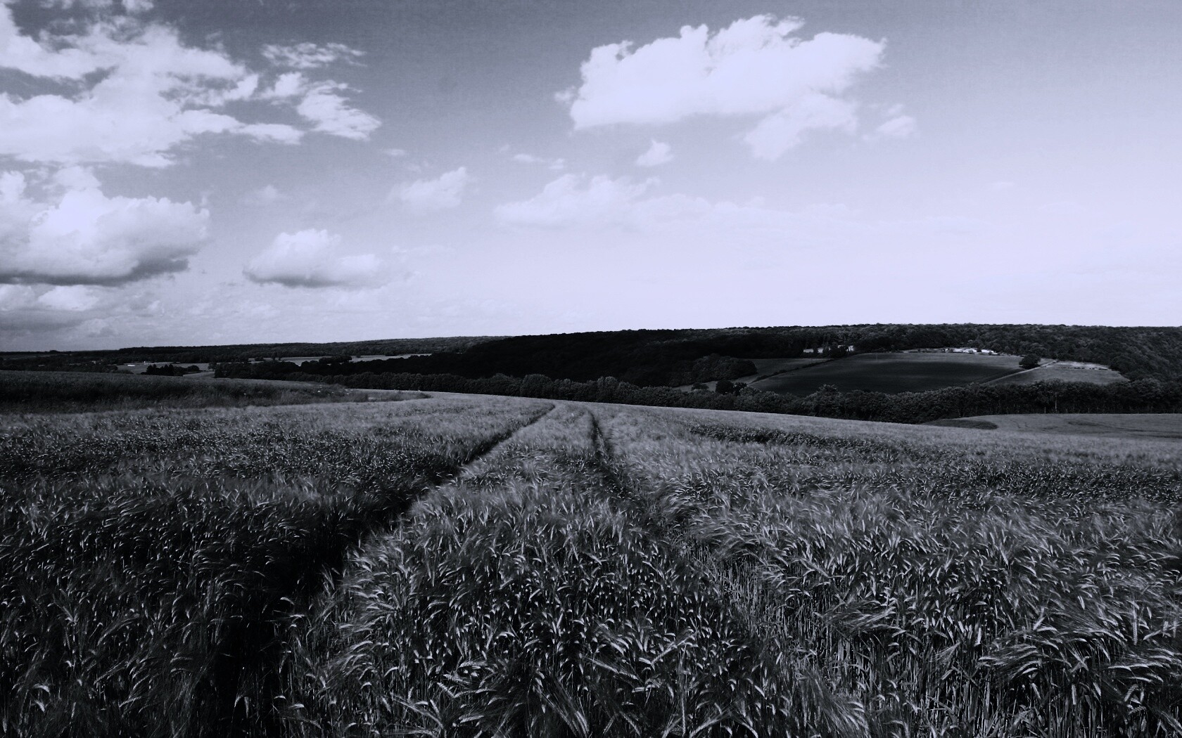 Бескрайние просторы обои