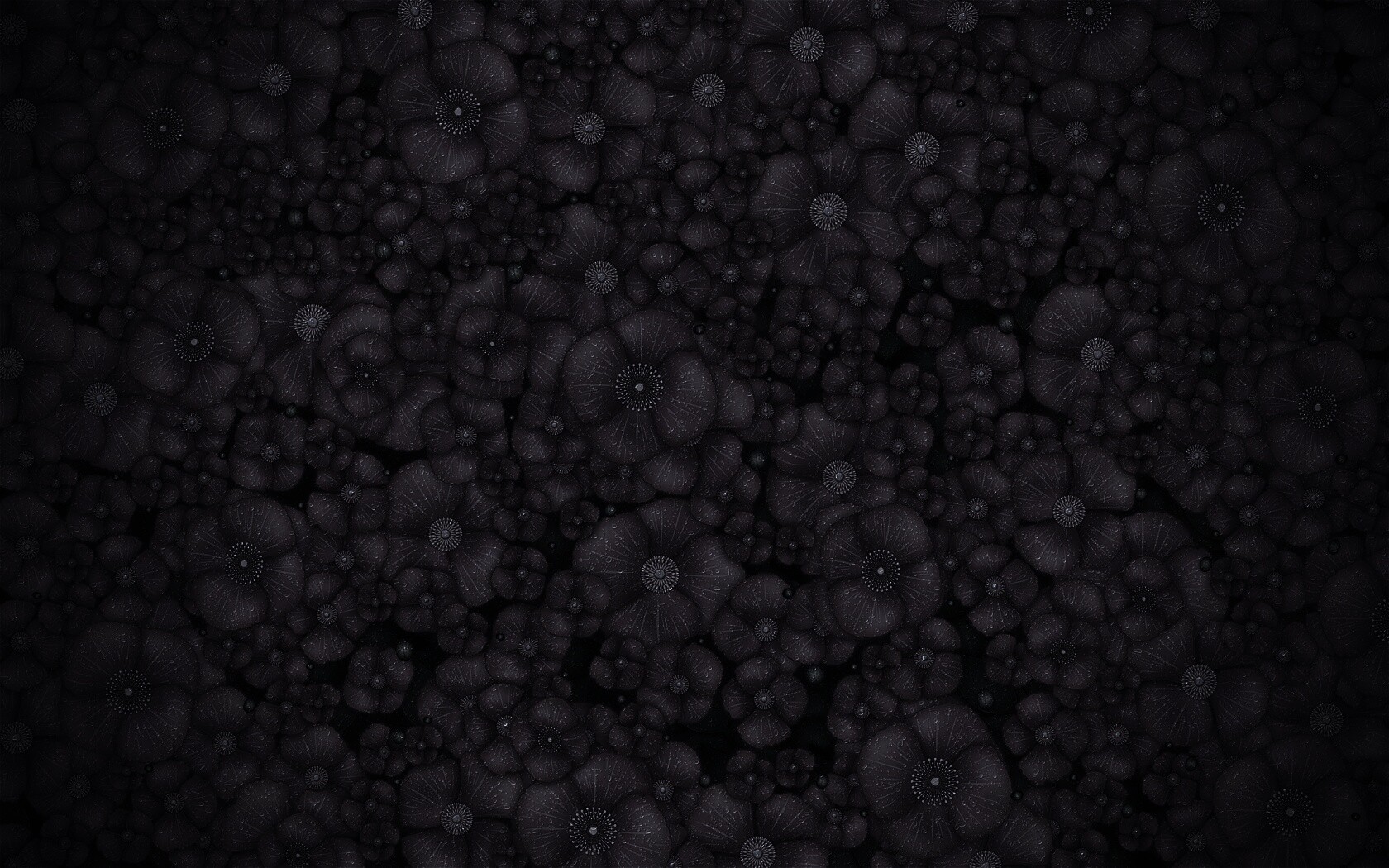 Рисунко с красными цветами обои