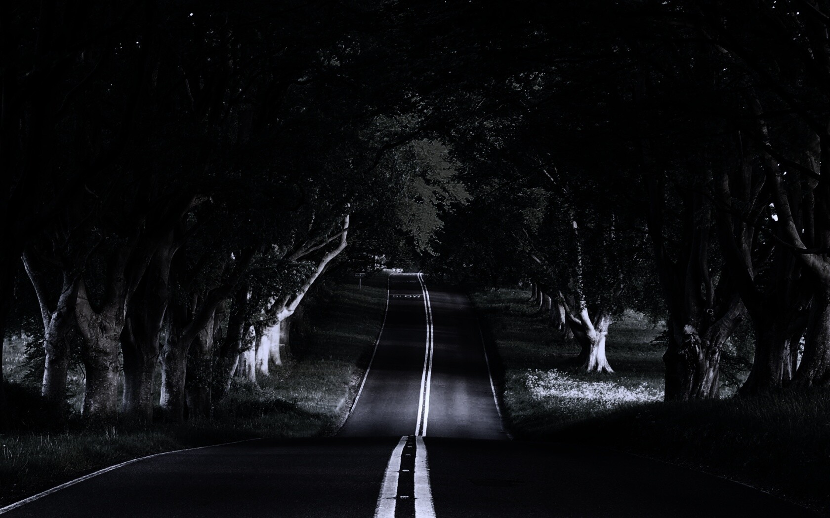 Дорога через лес обои