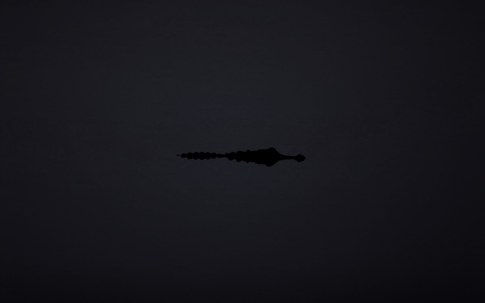 Алигатор обои