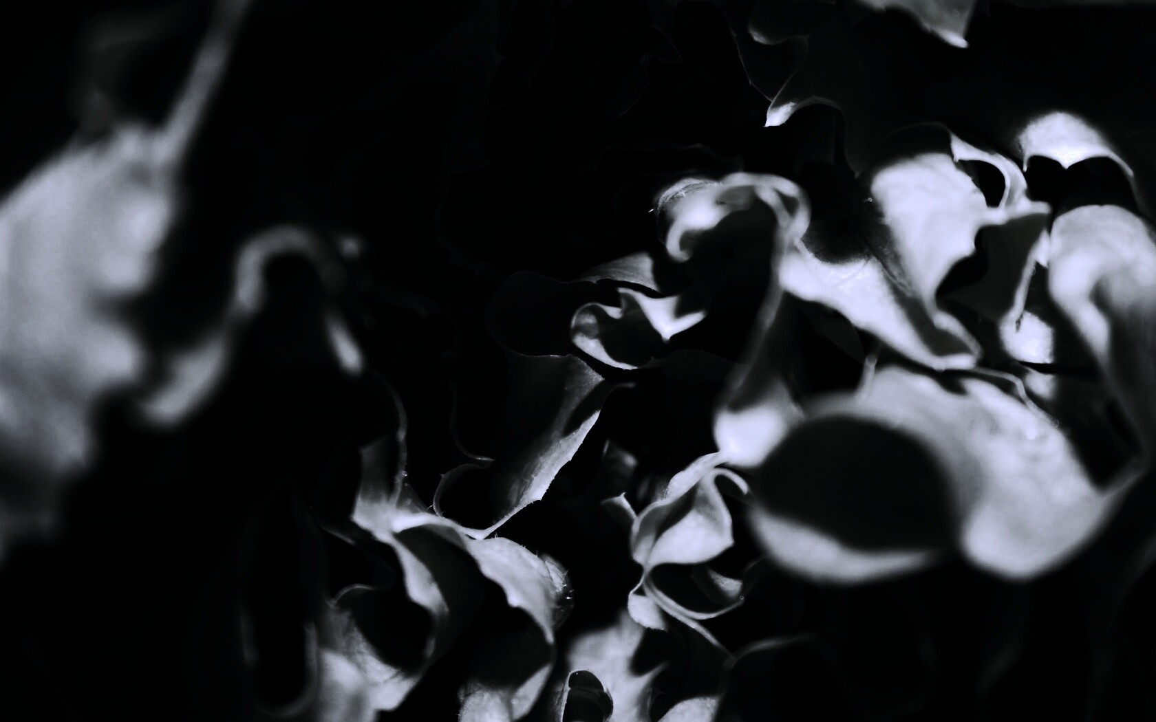 Зеленая листва обои