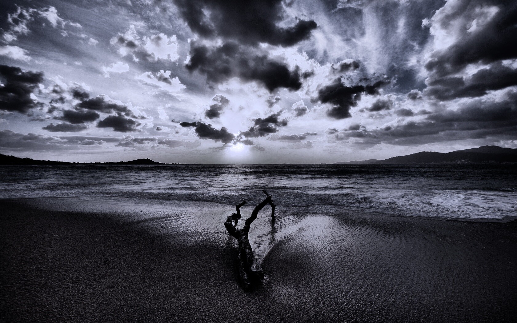 Коряга на пляже обои