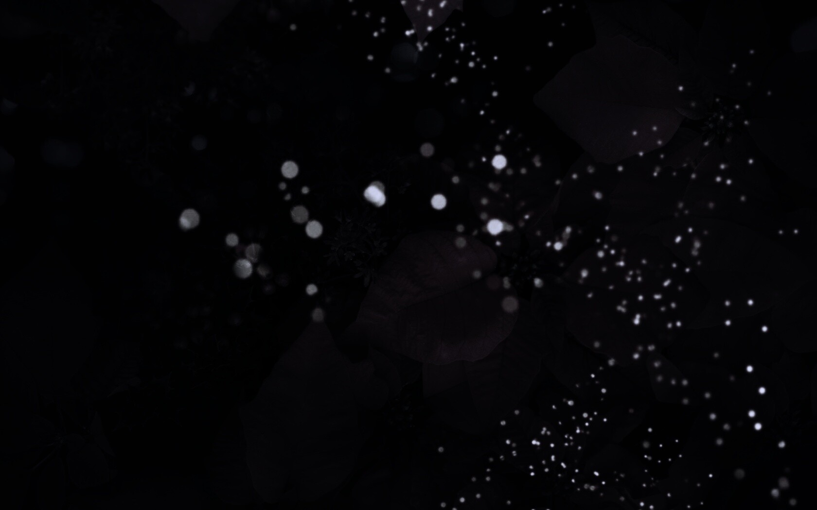 Бархатные лепестки обои