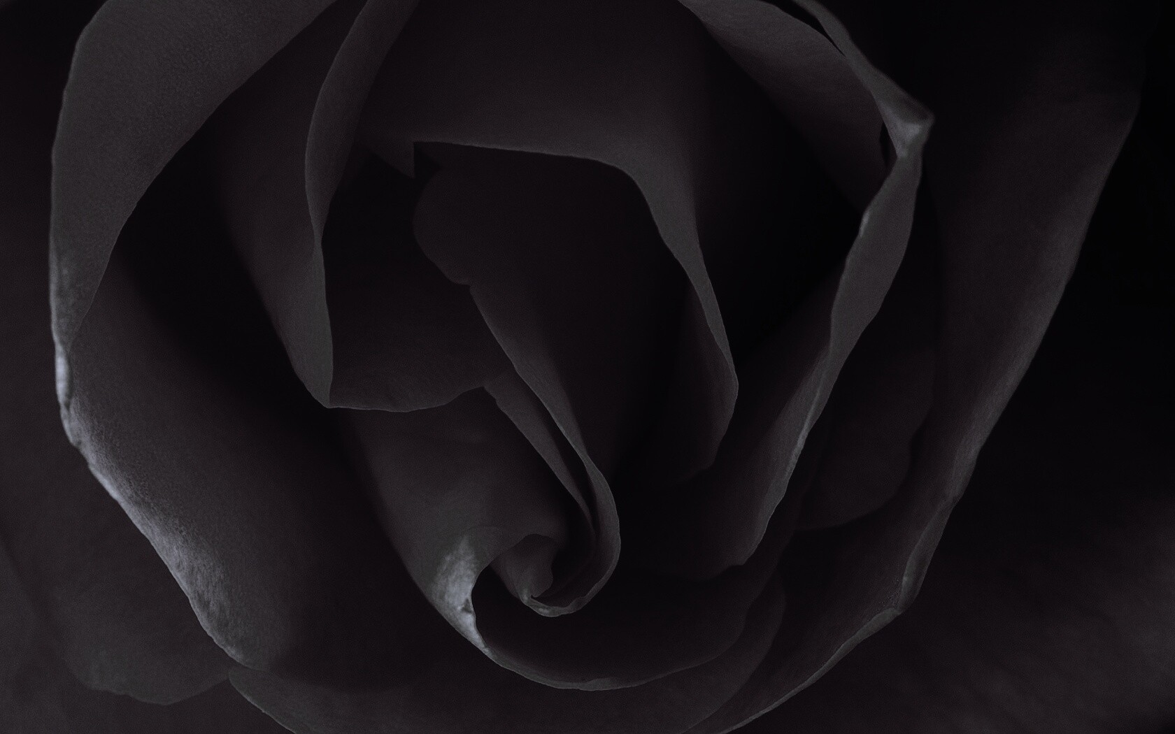 Макро фотка бутона обои