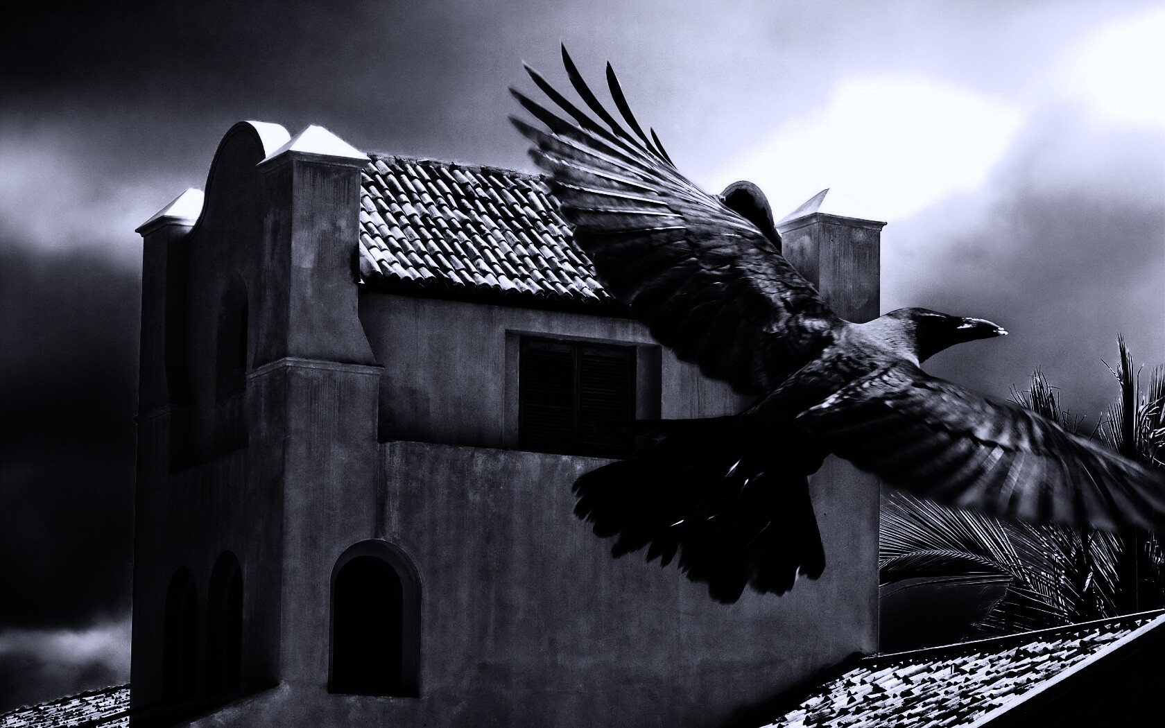 Полёт ворона обои