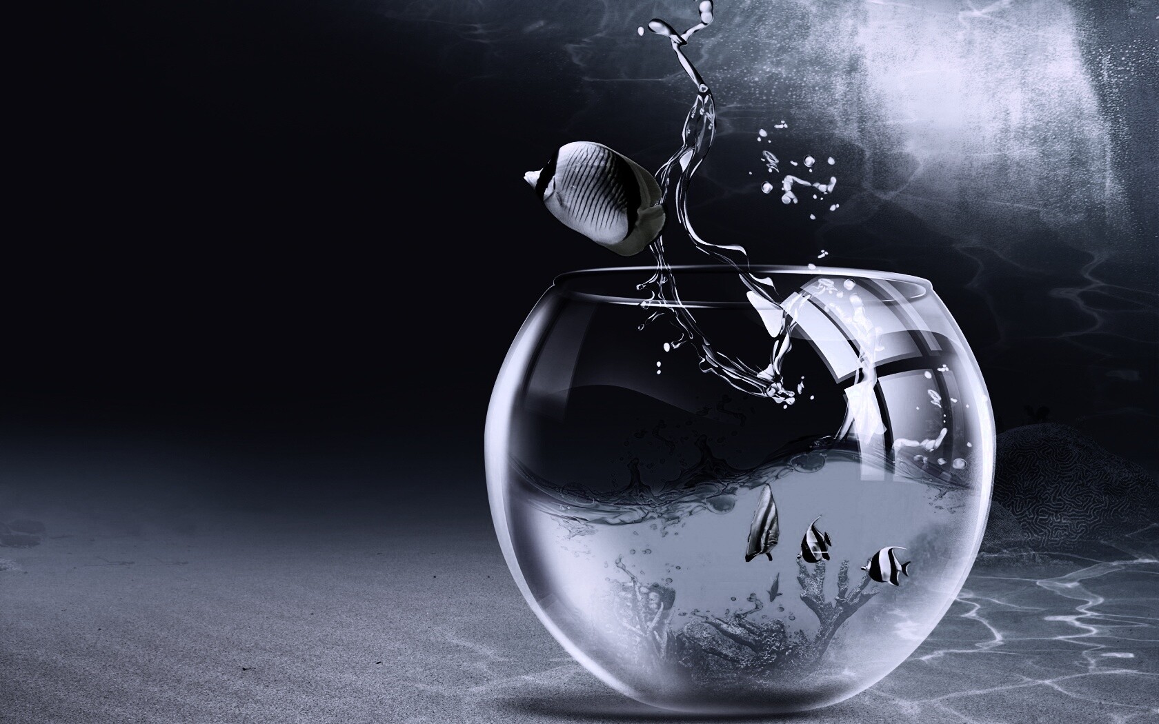 Аквариум с рыбками обои