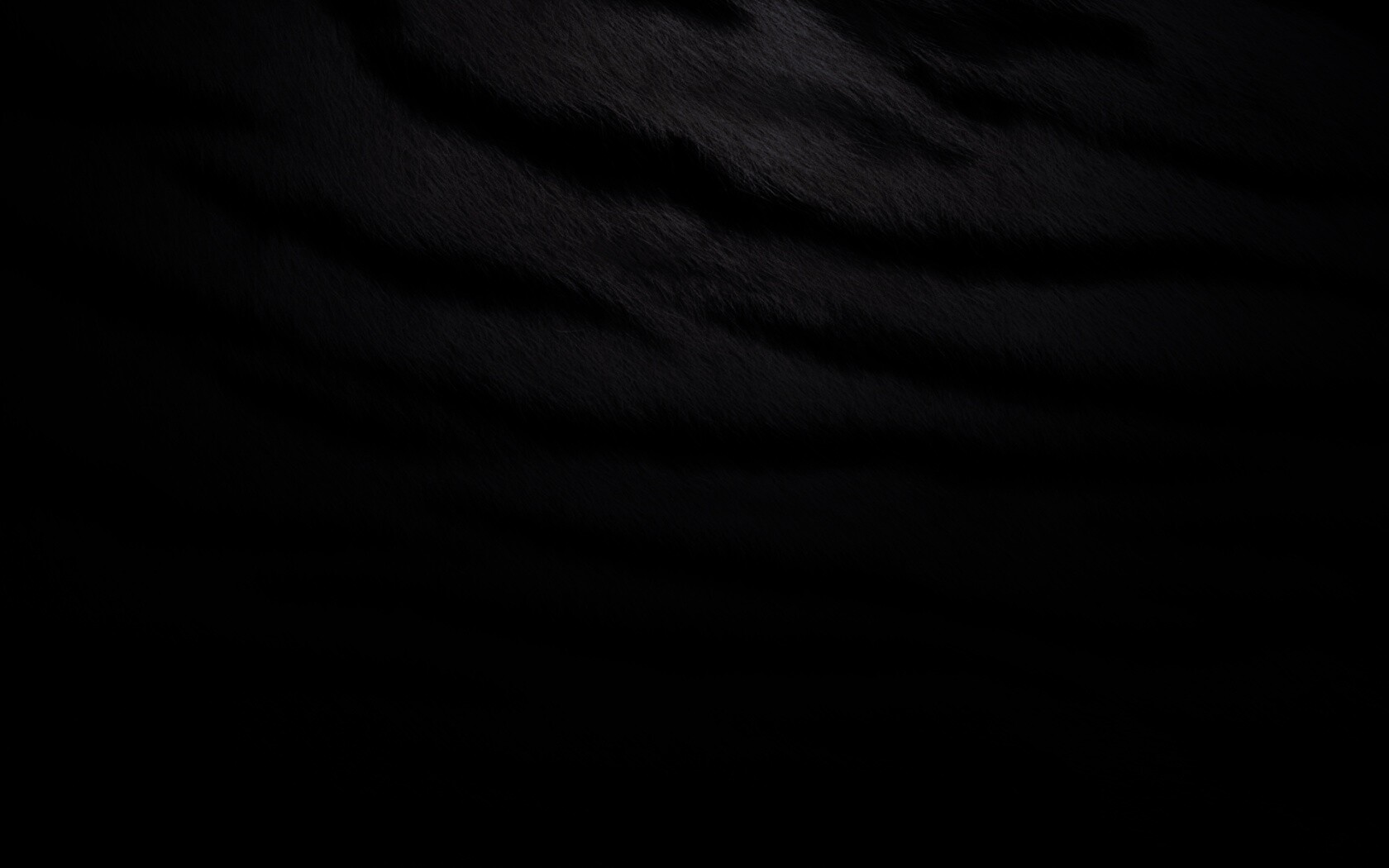 Тигриная шкура обои