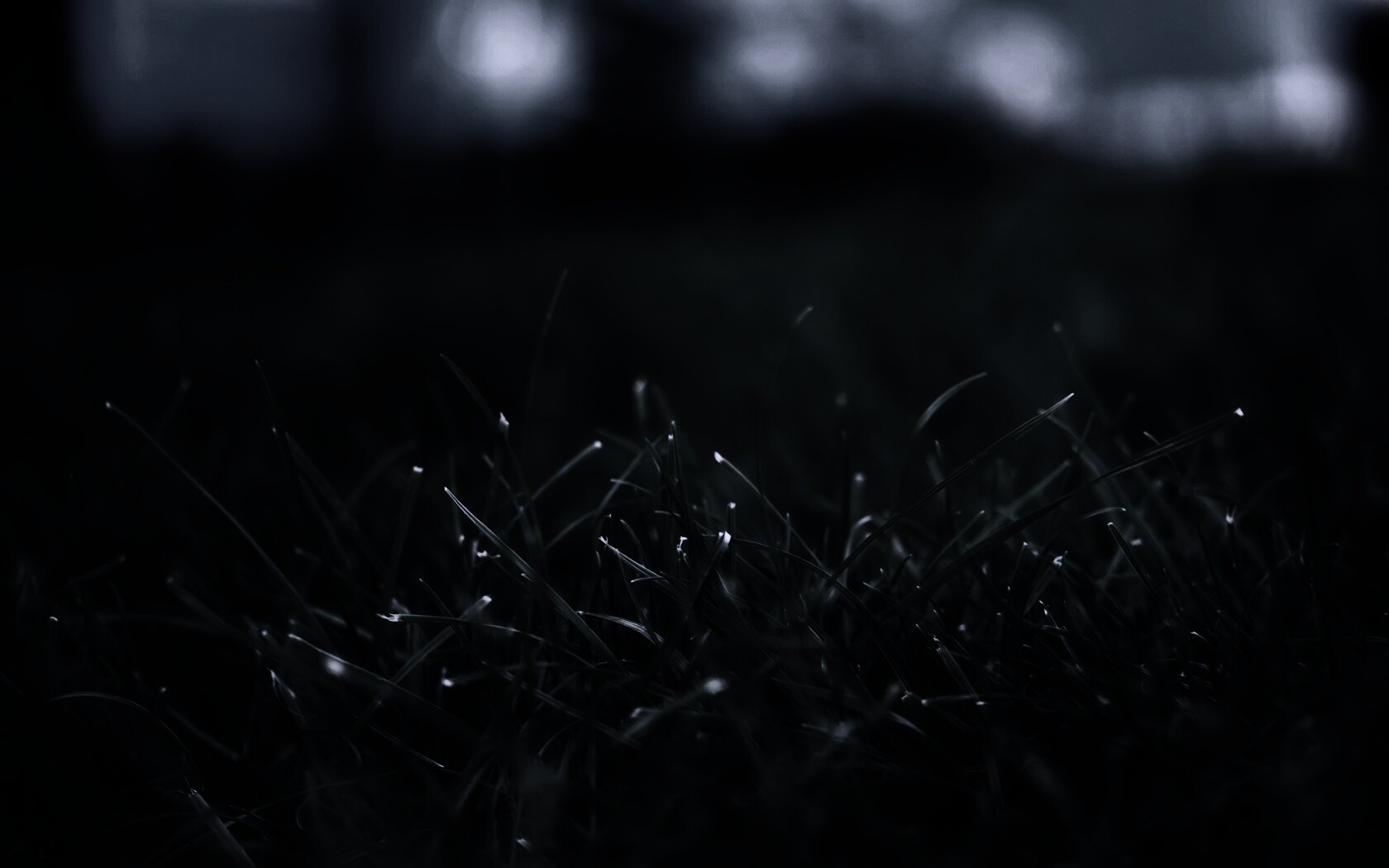 Сочная трава обои