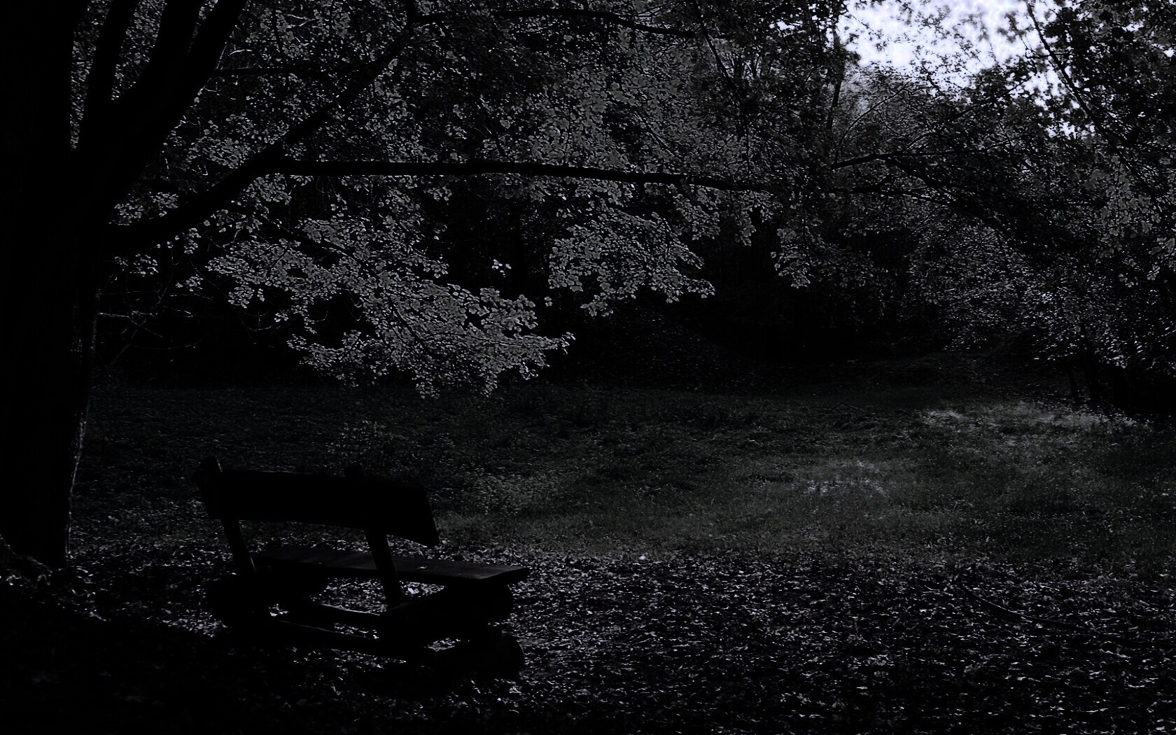 Скамейка под деревом обои