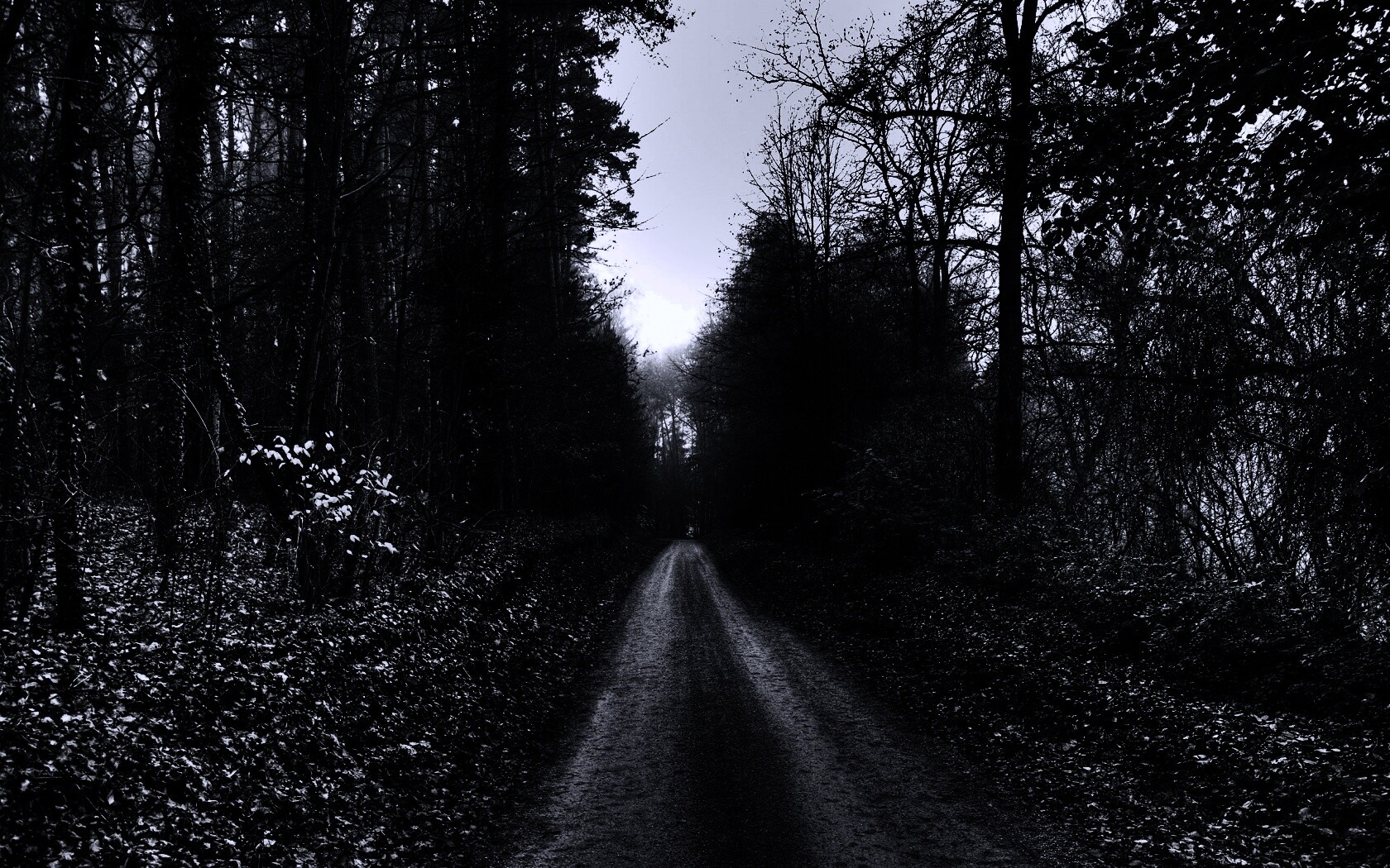 Лесная дорога обои