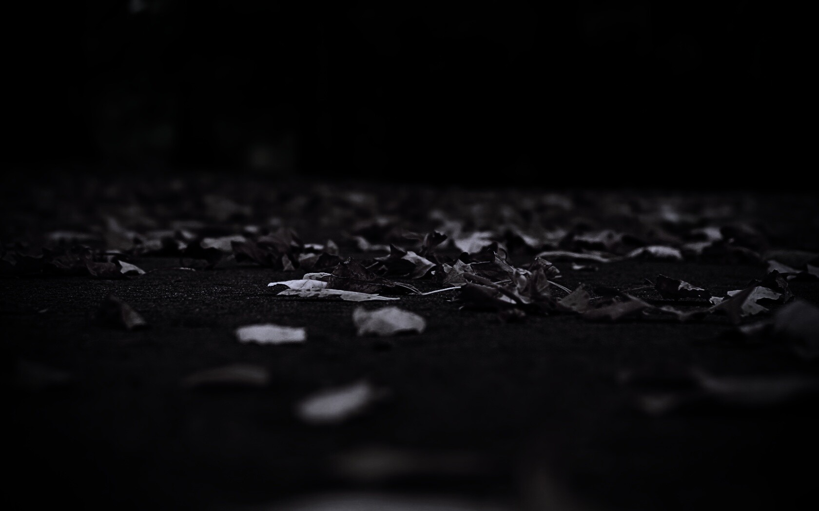 Дорога в листьях  обои