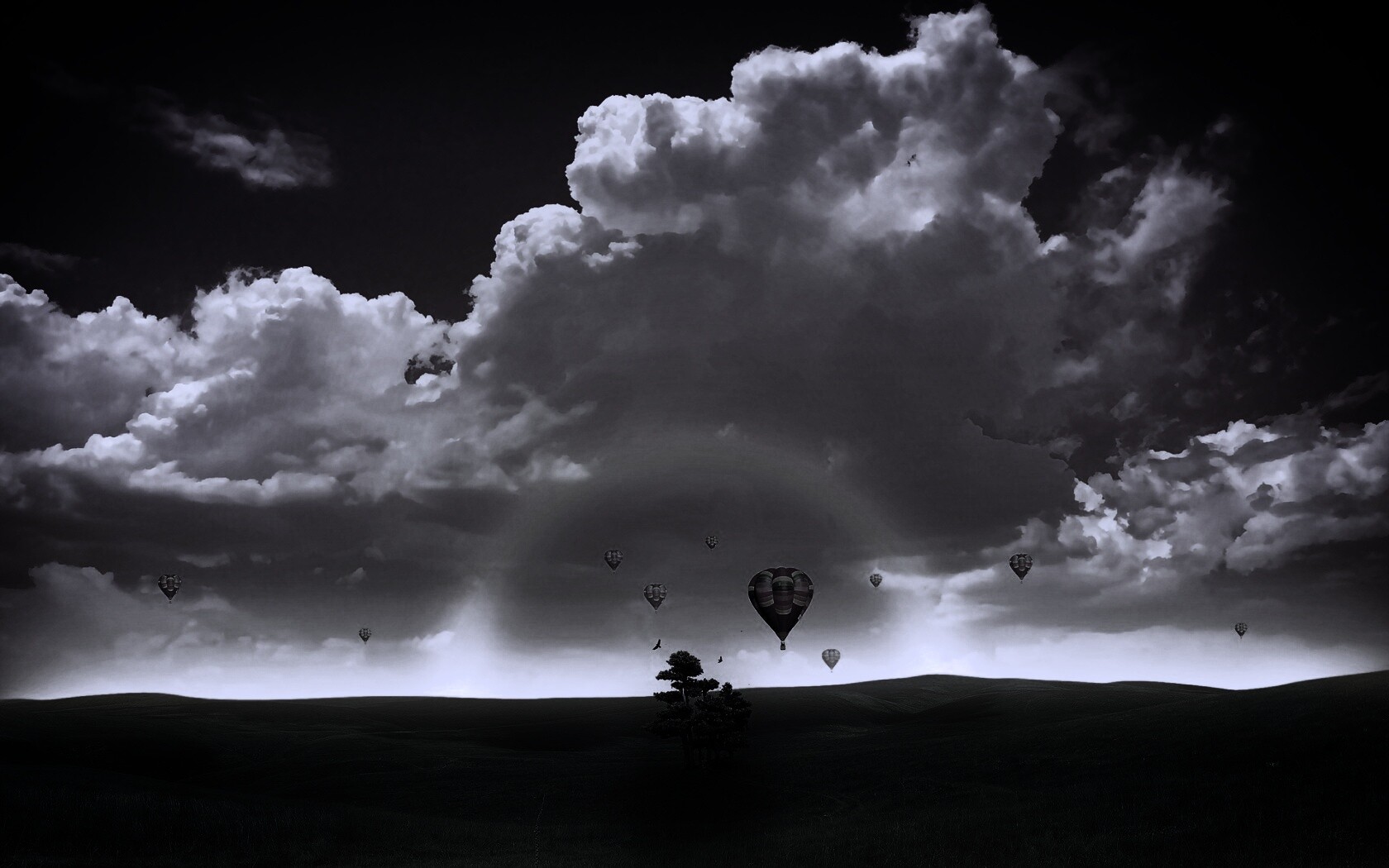 Мечты о полёте обои