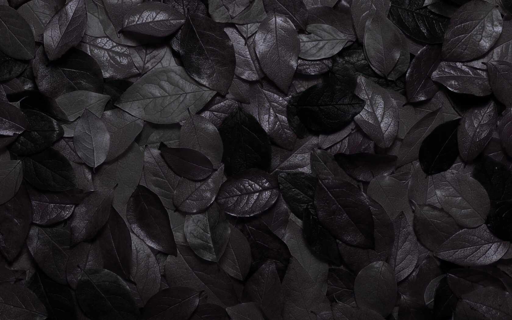 Цветной ковёр из листьев обои