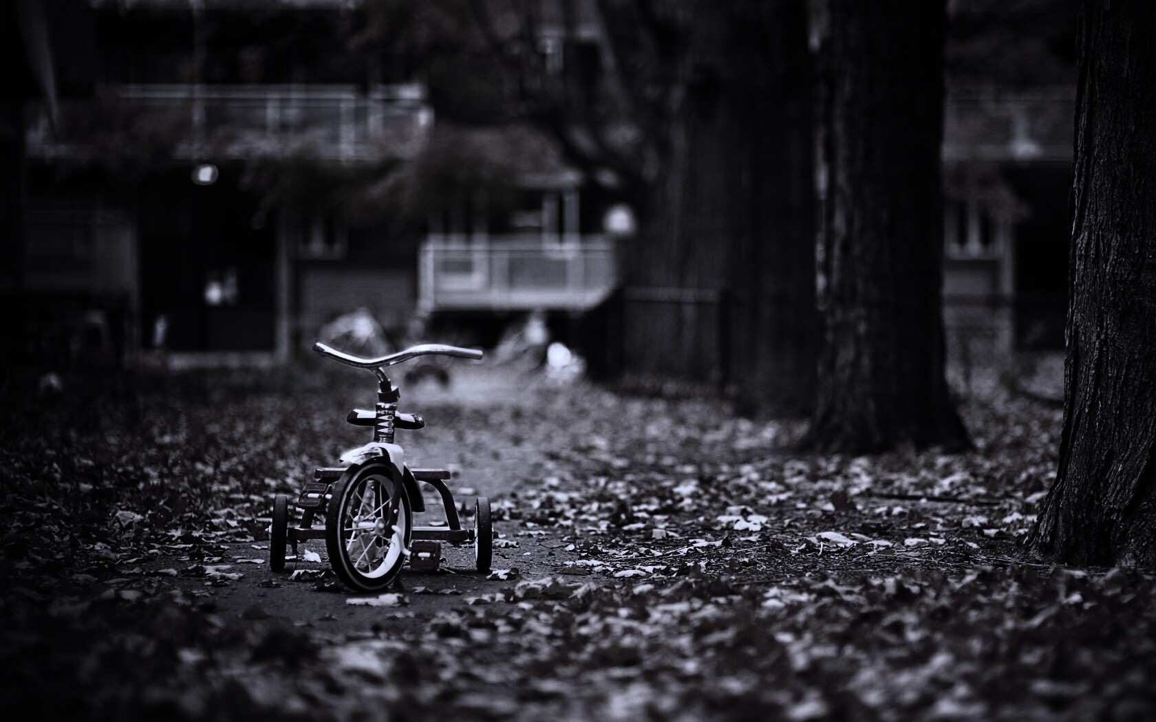 Трёхколёсный друг на осенней дорожке обои