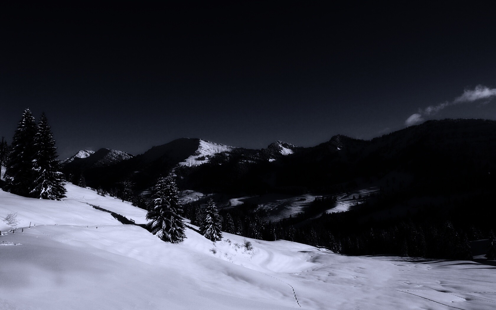 Лес в горах обои