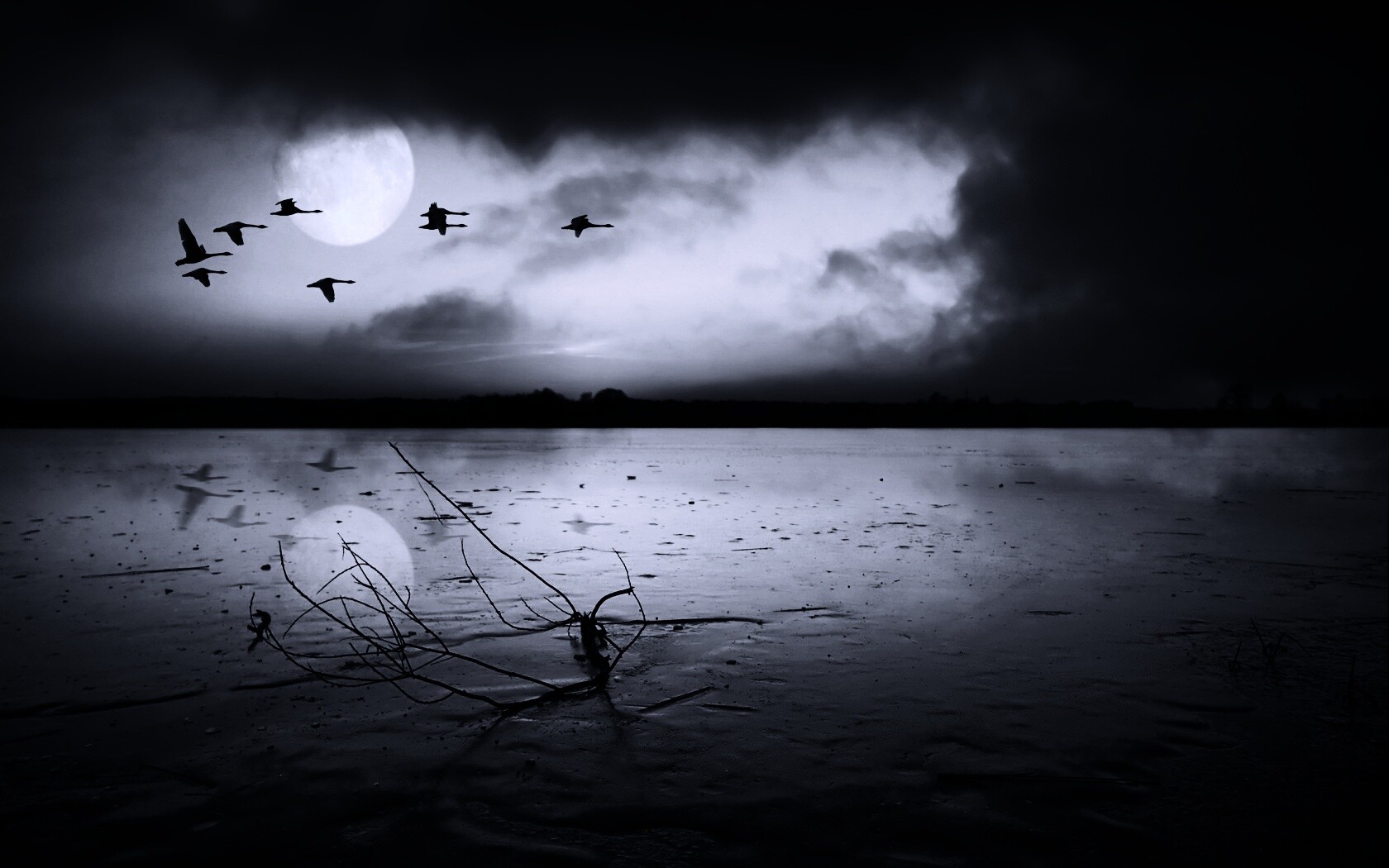 Полет птиц над озером обои