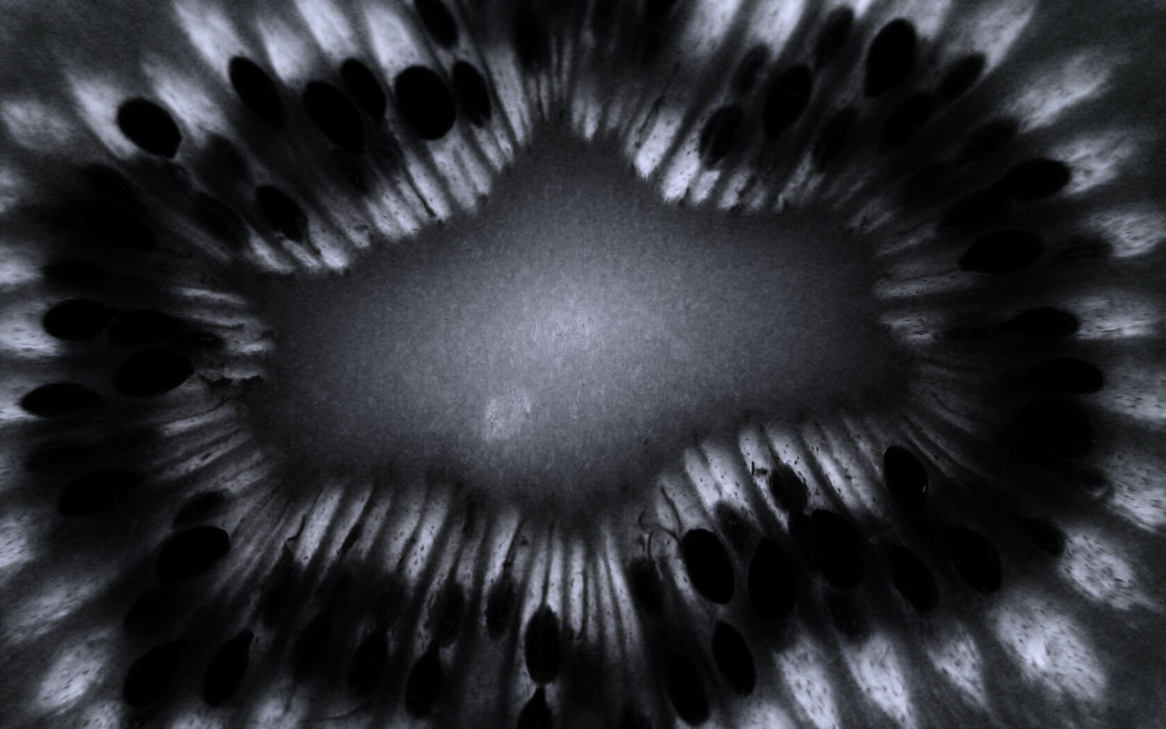 Макро фото киви в разрезе обои