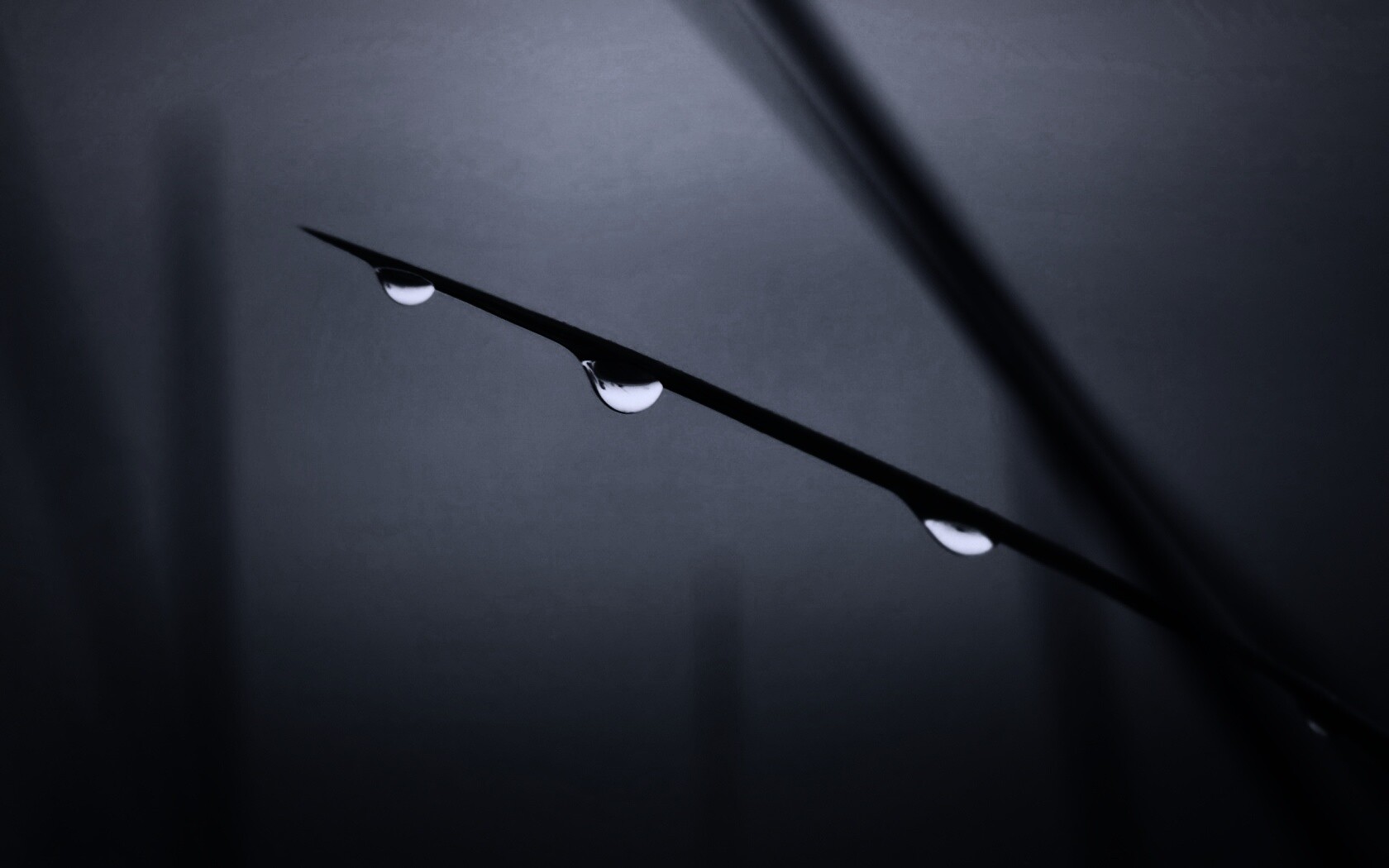 Трава после дождя обои