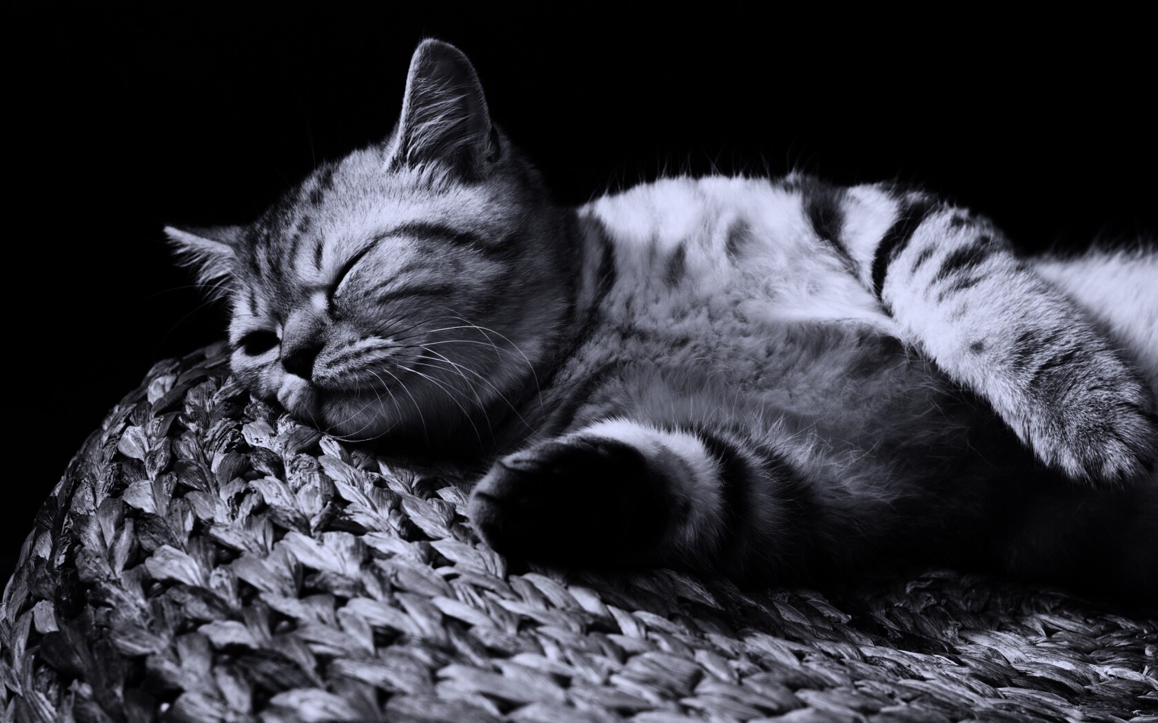 Пушистый кот спит на корзине обои