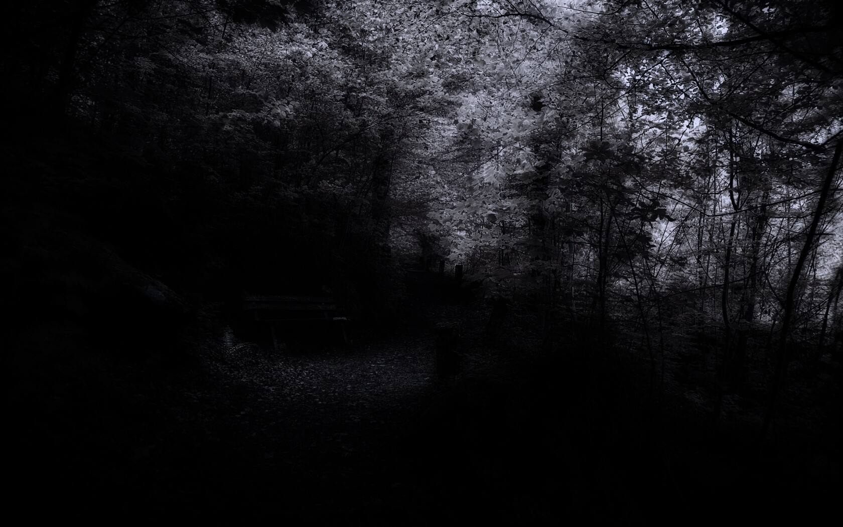 Скамейке в чаще парка обои