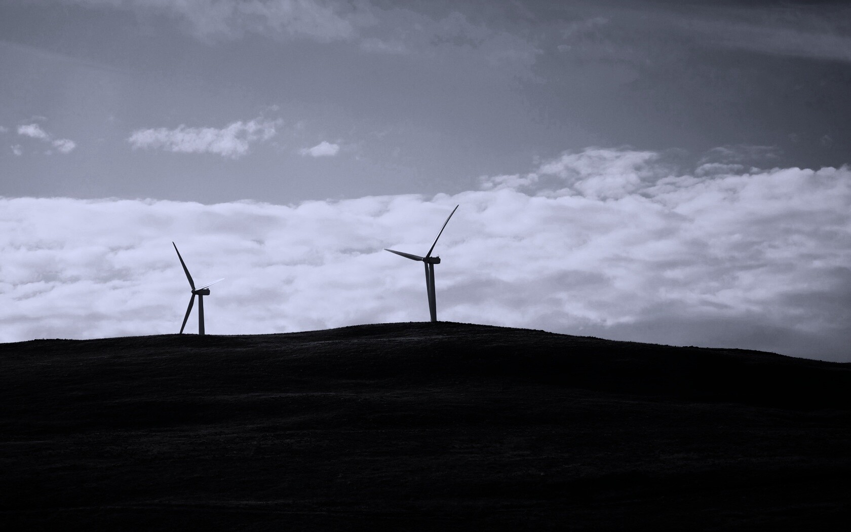 Ветряки в поле обои