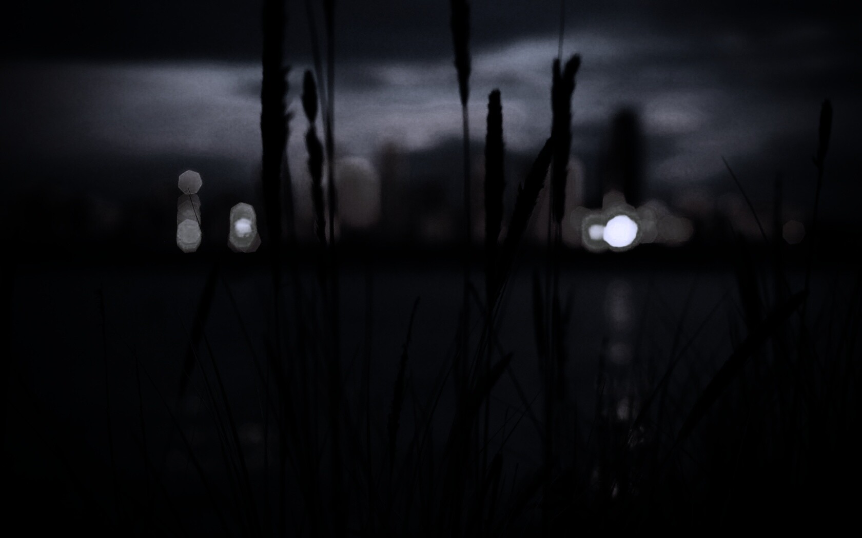 Камыш на фоне вечерних огней обои